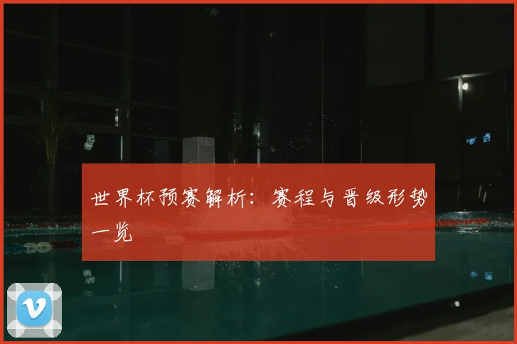 世界杯预赛解析：赛程与晋级形势一览