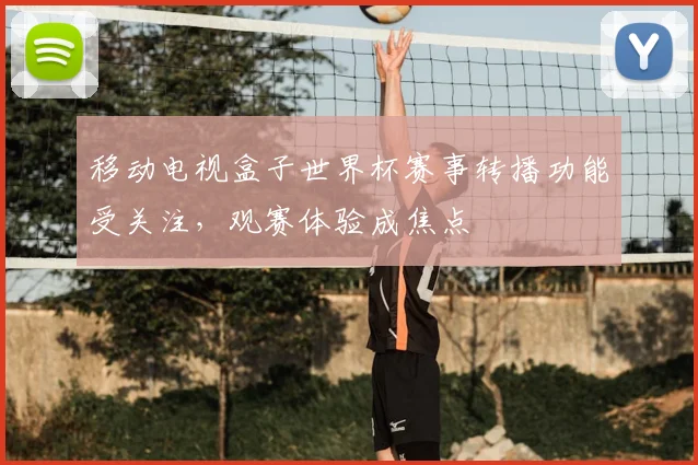 移动电视盒子世界杯赛事转播功能受关注，观赛体验成焦点