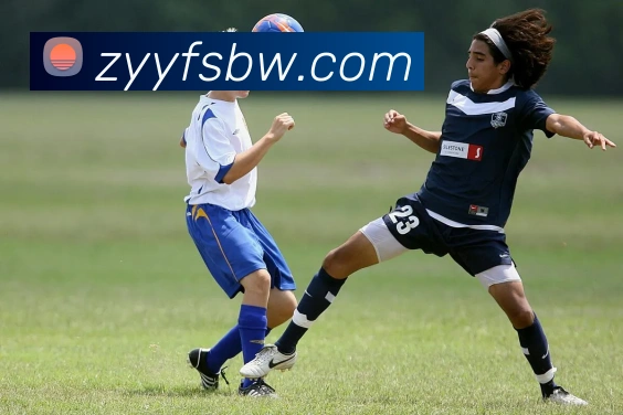 云开体app官网登录入口平台生态图